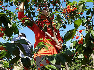 员工风采